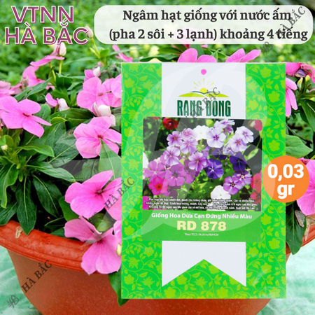 Hạt Giống Hoa Dừa Cạn Đứng Nhiều Màu RADO 878 (Gói 0,03g~30 Hạt) Rạng Đông, Thích Hợp Trồng Sân Vườn, Trồng Chậu