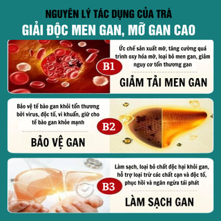 [Hạ men gan] Trà hạ men gan Fengcha thải độc gan, hạn men gan, mỡ gan, ngừa xơ gan bịch 30 gói lọc