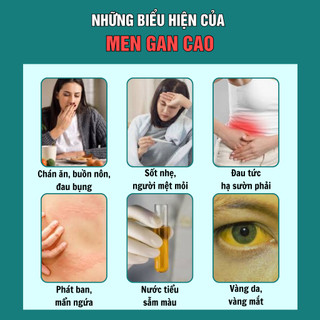 [Hạ men gan] Trà hạ men gan Fengcha thải độc gan, hạn men gan, mỡ gan, ngừa xơ gan bịch 30 gói lọc