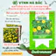 Hạt Giống Hoa Cúc Lá Nhám Vàng Chanh RADO 807 (Gói 0,1g~20 Hạt) Rạng Đông, Thân Cao, Trồng Chậu