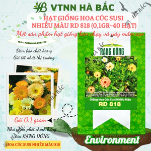 Hạt Giống Hoa Cúc Susi Nhiều Màu RADO 818 (Gói 0,1g~40 Hạt) Rạng Đông, Dễ Chăm, Hoa Nở Rực Rỡ