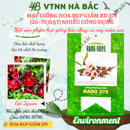 Hạt Giống Hoa Bụp Giấm RADO 375 (Gói 2g~70 Hạt) Rạng Đông,  Nhiều Công Dụng, Nảy Mầm Tốt, Sinh Trưởng Khỏe