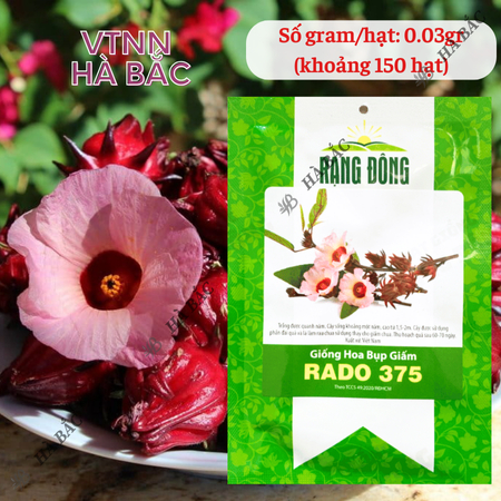 Hạt Giống Hoa Bụp Giấm RADO 375 (Gói 2g~70 Hạt) Rạng Đông,  Nhiều Công Dụng, Nảy Mầm Tốt, Sinh Trưởng Khỏe