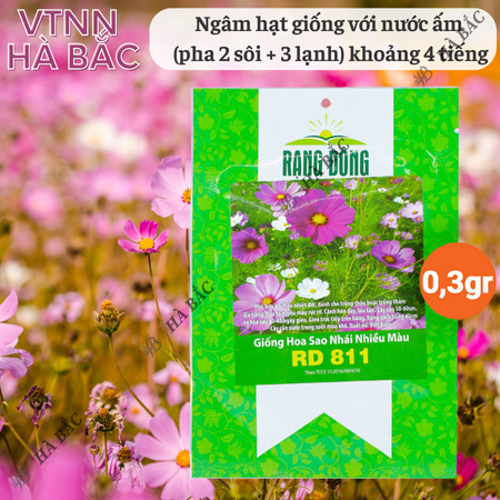 Hạt Giống Hoa Sao Nhái Nhiều Màu RADO 811 (Gói 0,1g~35 Hạt) Rạng Đông, Ra Hoa Liên Tục, Trồng Quanh Năm