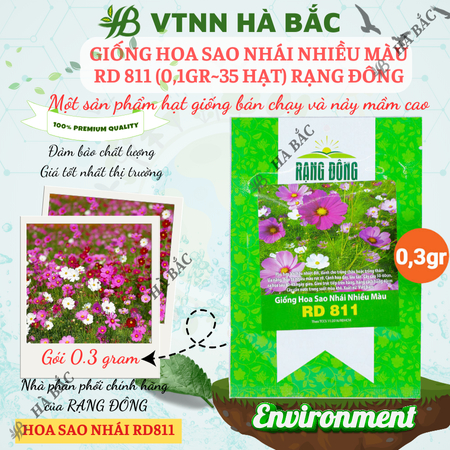 Hạt Giống Hoa Sao Nhái Nhiều Màu RADO 811 (Gói 0,1g~35 Hạt) Rạng Đông, Ra Hoa Liên Tục, Trồng Quanh Năm