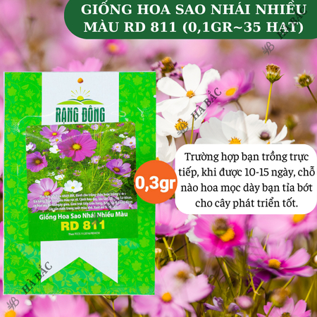 Hạt Giống Hoa Sao Nhái Nhiều Màu RADO 811 (Gói 0,1g~35 Hạt) Rạng Đông, Ra Hoa Liên Tục, Trồng Quanh Năm