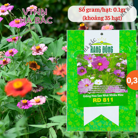 Hạt Giống Hoa Sao Nhái Nhiều Màu RADO 811 (Gói 0,1g~35 Hạt) Rạng Đông, Ra Hoa Liên Tục, Trồng Quanh Năm