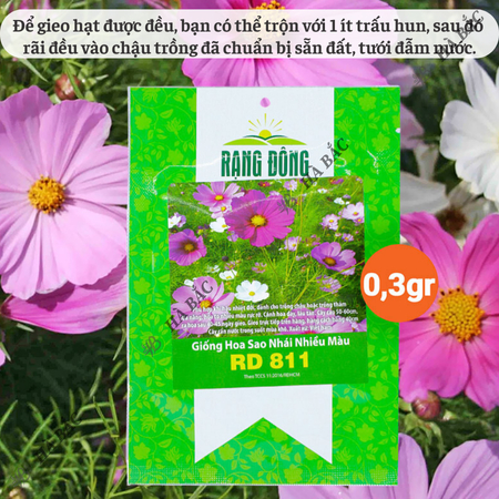 Hạt Giống Hoa Sao Nhái Nhiều Màu RADO 811 (Gói 0,1g~35 Hạt) Rạng Đông, Ra Hoa Liên Tục, Trồng Quanh Năm