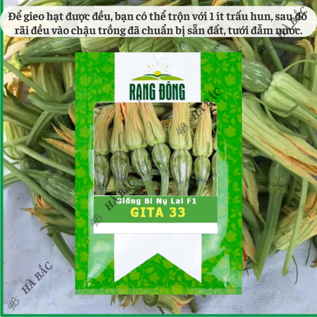 Hạt Giống Bí Nụ Lai F1 Gita RADO 33 (Gói 5 Hạt) Rạng Đông, Giống Bí Siêu Nụ, Nảy Mầm Tốt, Trồng Quanh Năm