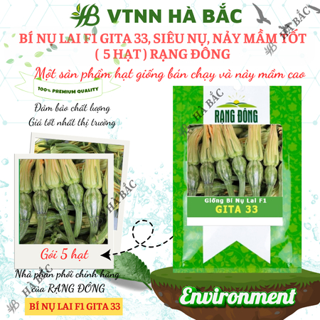 Hạt Giống Bí Nụ Lai F1 Gita RADO 33 (Gói 5 Hạt) Rạng Đông, Giống Bí Siêu Nụ, Nảy Mầm Tốt, Trồng Quanh Năm