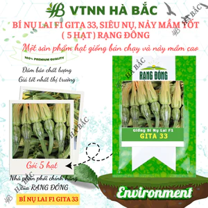 Hạt Giống Bí Nụ Lai F1 Gita RADO 33 (Gói 5 Hạt) Rạng Đông, Giống Bí Siêu Nụ, Nảy Mầm Tốt, Trồng Quanh Năm