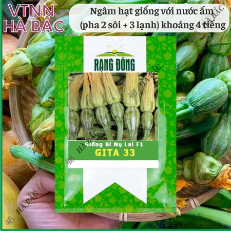 Hạt Giống Bí Nụ Lai F1 Gita RADO 33 (Gói 5 Hạt) Rạng Đông, Giống Bí Siêu Nụ, Nảy Mầm Tốt, Trồng Quanh Năm