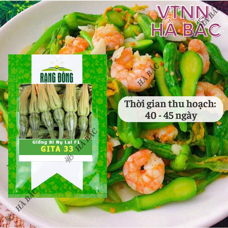 Hạt Giống Bí Nụ Lai F1 Gita RADO 33 (Gói 5 Hạt) Rạng Đông, Giống Bí Siêu Nụ, Nảy Mầm Tốt, Trồng Quanh Năm