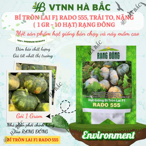 Hạt Giống Bí Tròn Lai F1 RADO 555 (Gói 1g~10 Hạt) Rạng Đông, Trái To, Nặng, Thịt Dày