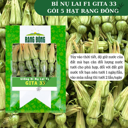 Hạt Giống Bí Nụ Lai F1 Gita RADO 33 (Gói 5 Hạt) Rạng Đông, Giống Bí Siêu Nụ, Nảy Mầm Tốt, Trồng Quanh Năm