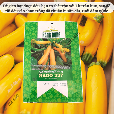 Hạt Giống Bí Ngòi Vàng RADO 337 (Gói 1g~10 Hạt) Rạng Đông, Nảy Mầm Tốt, Trồng Quanh Năm, Sinh Trưởng Khỏe