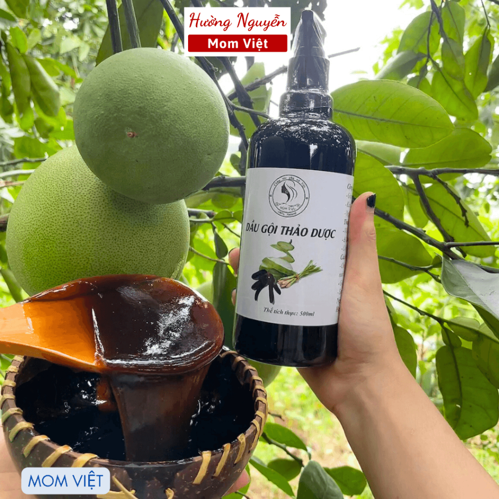 Dầu gội bồ kết cô đặc, sạch gàu, kích thích mọc tóc, giảm rụng