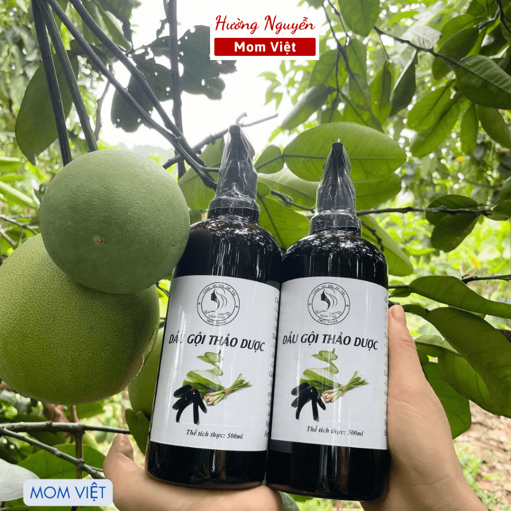 Dầu gội bồ kết cô đặc, sạch gàu, kích thích mọc tóc, giảm rụng