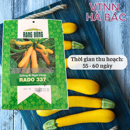 Hạt Giống Bí Ngòi Vàng RADO 337 (Gói 1g~10 Hạt) Rạng Đông, Nảy Mầm Tốt, Trồng Quanh Năm, Sinh Trưởng Khỏe
