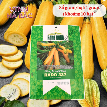 Hạt Giống Bí Ngòi Vàng RADO 337 (Gói 1g~10 Hạt) Rạng Đông, Nảy Mầm Tốt, Trồng Quanh Năm, Sinh Trưởng Khỏe