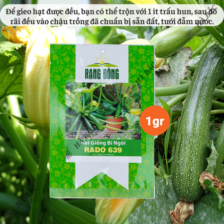 Hạt Giống Bí Ngòi Xanh RADO 639 (Gói 1g~10 Hạt) Rạng Đông, Dễ Chăm Sóc, Trái Dài, Trồng Quanh Năm