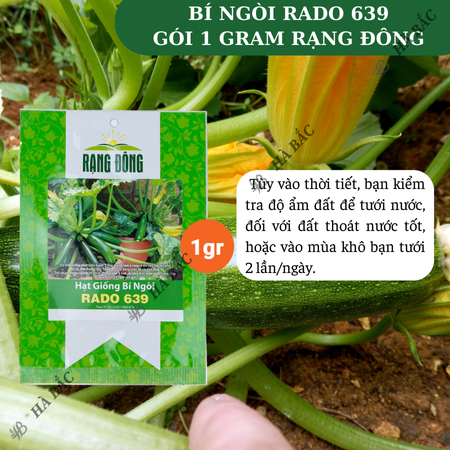 Hạt Giống Bí Ngòi Xanh RADO 639 (Gói 1g~10 Hạt) Rạng Đông, Dễ Chăm Sóc, Trái Dài, Trồng Quanh Năm