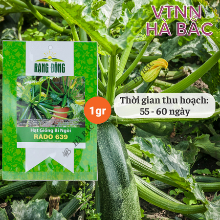 Hạt Giống Bí Ngòi Xanh RADO 639 (Gói 1g~10 Hạt) Rạng Đông, Dễ Chăm Sóc, Trái Dài, Trồng Quanh Năm