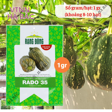 Hạt Giống Bí Đỏ Hạt Đậu Lai F1 RADO 35 (Gói 1g~8-10 Hạt) Rạng Đông, Vỏ Mỏng, Thịt Nhiều, Trồng Quanh Năm – [Bí Đỏ Hồ Lô]
