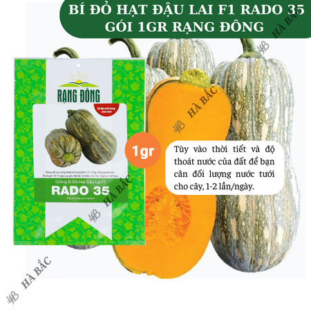 Hạt Giống Bí Đỏ Hạt Đậu Lai F1 RADO 35 (Gói 1g~8-10 Hạt) Rạng Đông, Vỏ Mỏng, Thịt Nhiều, Trồng Quanh Năm – [Bí Đỏ Hồ Lô]