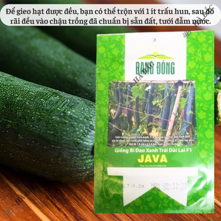 Hạt Giống Bí Đao Xanh Trái Dài Lai F1 Java RADO (Gói 0,2g~10 Hạt) Rạng Đông, Sinh Trưởng Khỏe, Trồng Quanh Năm