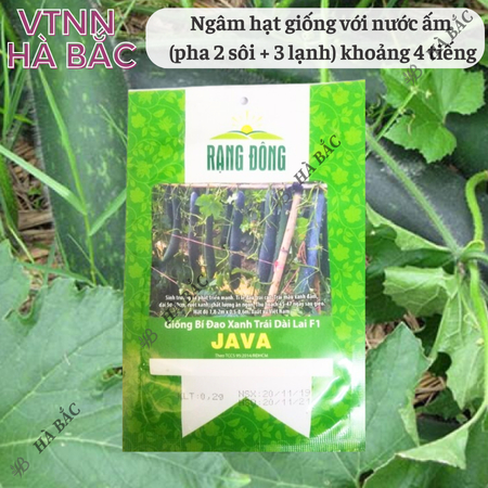 Hạt Giống Bí Đao Xanh Trái Dài Lai F1 Java RADO (Gói 0,2g~10 Hạt) Rạng Đông, Sinh Trưởng Khỏe, Trồng Quanh Năm