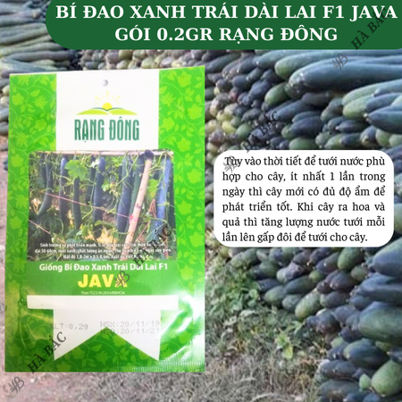 Hạt Giống Bí Đao Xanh Trái Dài Lai F1 Java RADO (Gói 0,2g~10 Hạt) Rạng Đông, Sinh Trưởng Khỏe, Trồng Quanh Năm