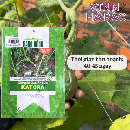 Hạt Giống Bí Đậu Ăn Non Katora (1g~10 Hạt) Dễ Chăm Sóc, Năng Suất Cao, Trồng Quanh Năm
