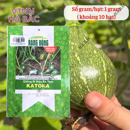 Hạt Giống Bí Đậu Ăn Non Katora (1g~10 Hạt) Dễ Chăm Sóc, Năng Suất Cao, Trồng Quanh Năm
