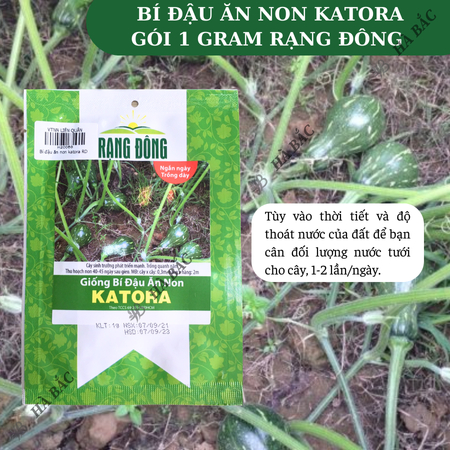 Hạt Giống Bí Đậu Ăn Non Katora (1g~10 Hạt) Dễ Chăm Sóc, Năng Suất Cao, Trồng Quanh Năm
