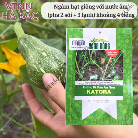 Hạt Giống Bí Đậu Ăn Non Katora (1g~10 Hạt) Dễ Chăm Sóc, Năng Suất Cao, Trồng Quanh Năm