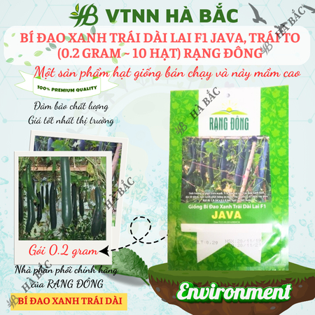 Hạt Giống Bí Đao Xanh Trái Dài Lai F1 Java RADO (Gói 0,2g~10 Hạt) Rạng Đông, Sinh Trưởng Khỏe, Trồng Quanh Năm