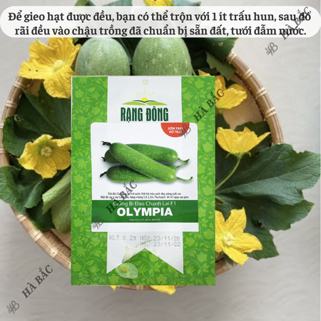 Hạt Giống Bí Đao Olympia RADO (Gói 2g~100 Hạt) Rạng Đông, Sinh Trưởng Khỏe, Năng Suất Cao