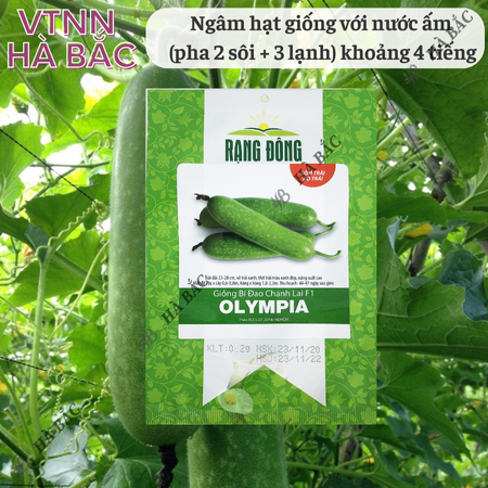 Hạt Giống Bí Đao Olympia RADO (Gói 2g~100 Hạt) Rạng Đông, Sinh Trưởng Khỏe, Năng Suất Cao