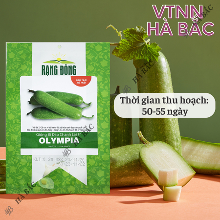 Hạt Giống Bí Đao Olympia RADO (Gói 2g~100 Hạt) Rạng Đông, Sinh Trưởng Khỏe, Năng Suất Cao
