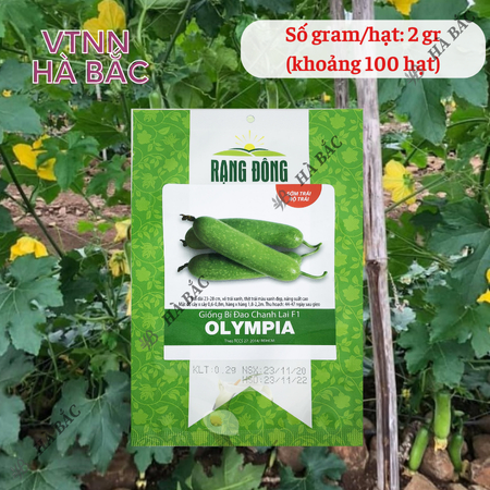 Hạt Giống Bí Đao Olympia RADO (Gói 2g~100 Hạt) Rạng Đông, Sinh Trưởng Khỏe, Năng Suất Cao