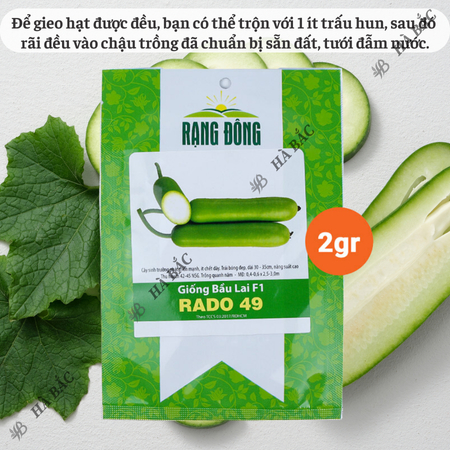 Hạt Giống Bầu Lai F1 RADO 49 (Gói 10 Hạt) Rạng Đông, Trái Dài, Nảy Mầm Tốt, Trồng Quanh Năm