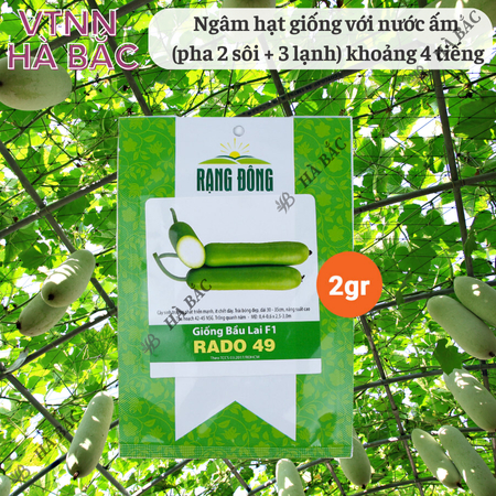 Hạt Giống Bầu Lai F1 RADO 49 (Gói 10 Hạt) Rạng Đông, Trái Dài, Nảy Mầm Tốt, Trồng Quanh Năm