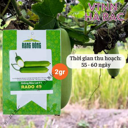 Hạt Giống Bầu Lai F1 RADO 49 (Gói 10 Hạt) Rạng Đông, Trái Dài, Nảy Mầm Tốt, Trồng Quanh Năm
