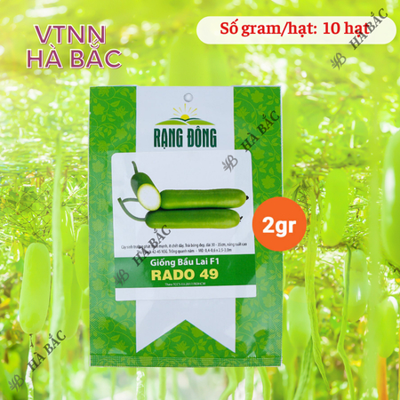 Hạt Giống Bầu Lai F1 RADO 49 (Gói 10 Hạt) Rạng Đông, Trái Dài, Nảy Mầm Tốt, Trồng Quanh Năm