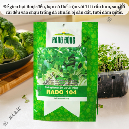 Hạt Giống Rau Mầm Củ Cải Trắng RADO 104 (Gói 50g~1000 Hạt) Rạng Đông, Nảy Mầm Tốt – [Hạt Lớn]