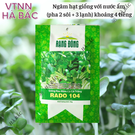 Hạt Giống Rau Mầm Củ Cải Trắng RADO 104 (Gói 50g~1000 Hạt) Rạng Đông, Nảy Mầm Tốt – [Hạt Lớn]