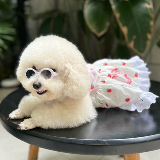 ĐẦM THÚ CƯNG 2 DÂY XOÈ BÈO TRÁI TIM HOẠ TIẾT TRÁI DÂU