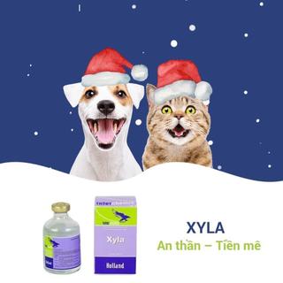 XYLA 2% Interchemie Holland giúp an thần giảm đau cho động vật chai50ml trên chó mèo gia súc gia cầm