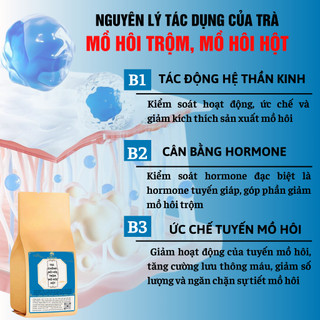 [Mồ hôi tay chân] Trà chống mồ hôi hột, mồ hôi chân tay Fengcha bịch 30 gói lọc